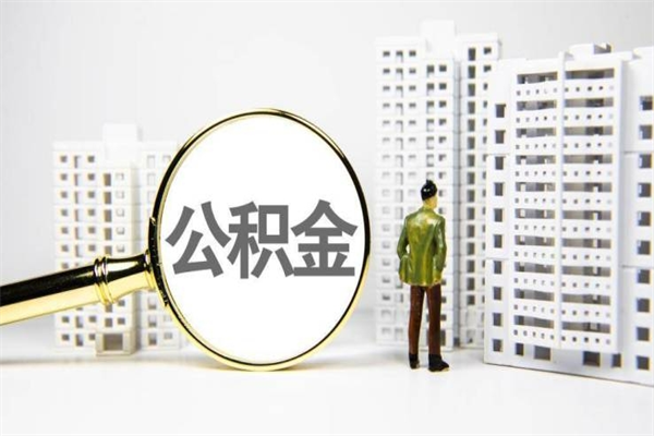 淄博代提公积金（代提公积金犯法吗）